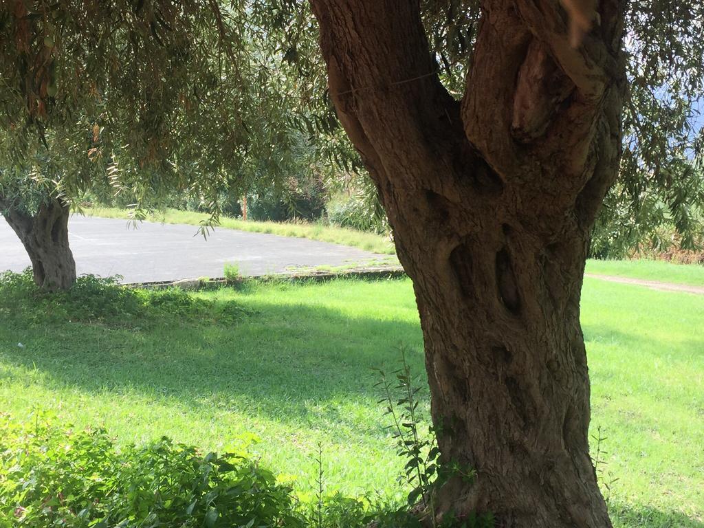 باتي B&B Xenia المظهر الخارجي الصورة