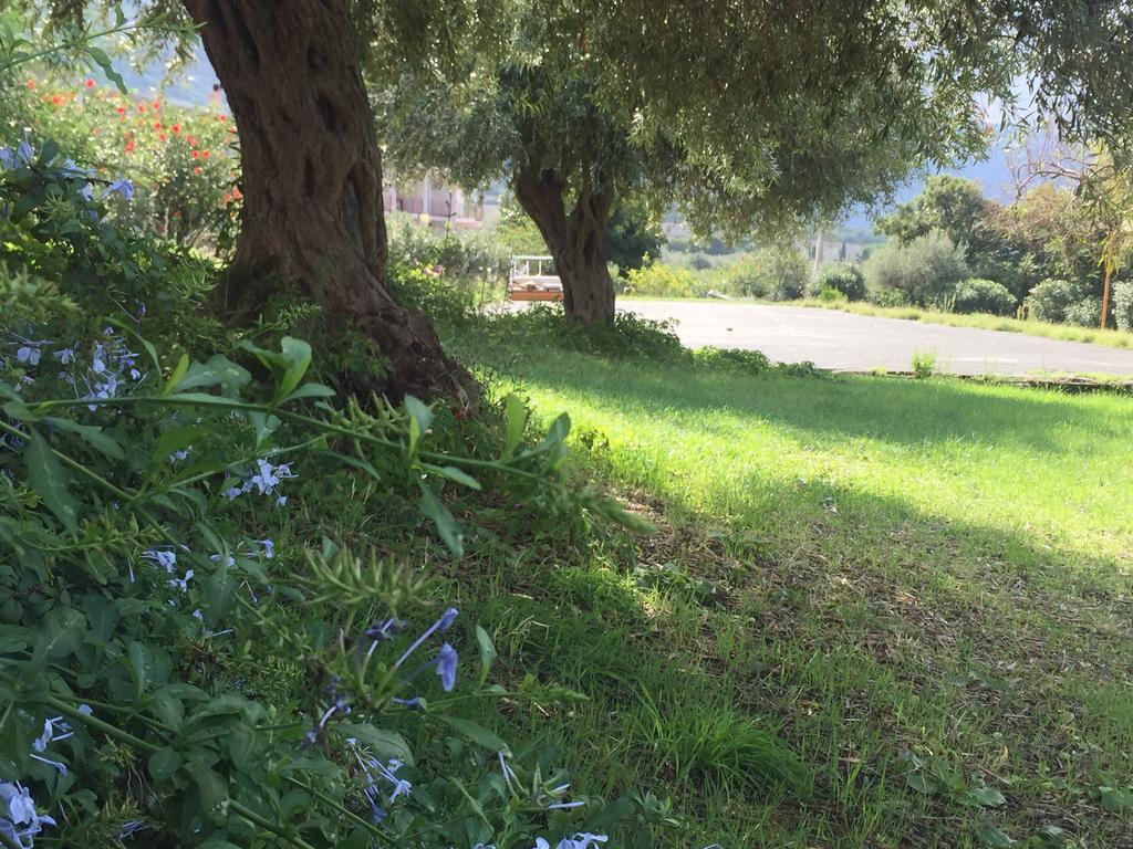 باتي B&B Xenia المظهر الخارجي الصورة