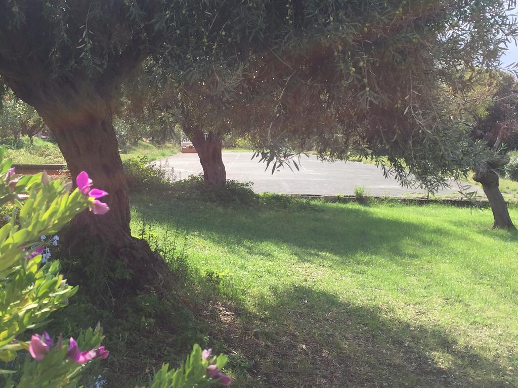 باتي B&B Xenia المظهر الخارجي الصورة
